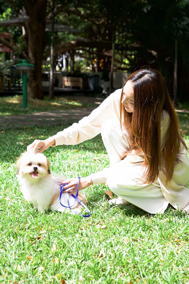 Dog relaxing in the garden grounds at The Leela Resort & Spa Pattaya
