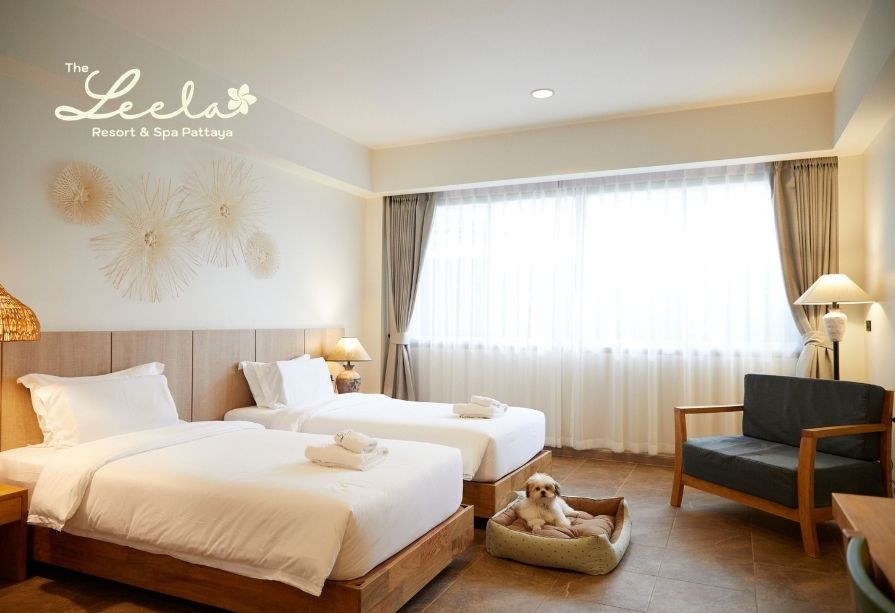 Pet-Friendly Signature Room with dog bed